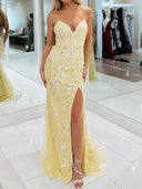 Sheath V-neck Appliques Lace Sweep Train Tulle Dress