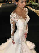 Mermaid V-neck Long Sleeves Lace Chapel Train Tulle Wedding Dress